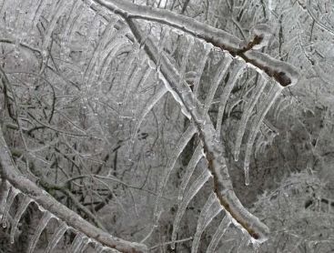 Ger de crapa pietrele! Cum va fi vremea de Revelion si in urmatoarele trei zile? VIDEO