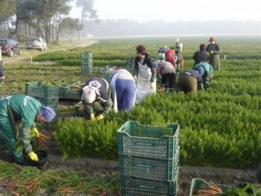Peste 400 de romani au cazut prada traficantilor de carne vie in 2010!