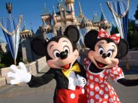 
	Ai vrea sa lucrezi la Disneyland? Zeci de romani au&nbsp;fost angajati! VIDEO
