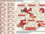 Harta alimentelor in Romania. Unde se gaseste cea mai ieftina mancare?