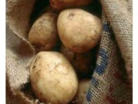 
	De ce scumpesc cartofii atat de mult?&nbsp;Topul majorarilor de preturi in ianuarie! VIDEO!
