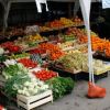 Statul scoate la licitatie tone de fructe si legume confiscate! Video!