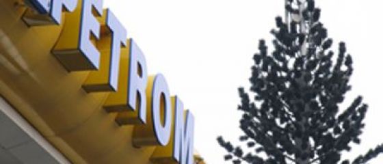 Deputatii PDL vor referendum pentru nationalizarea Petrom