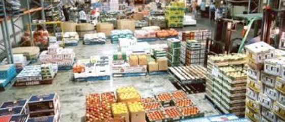 Statul iti da bani sa construiesti depozite de legume si fructe