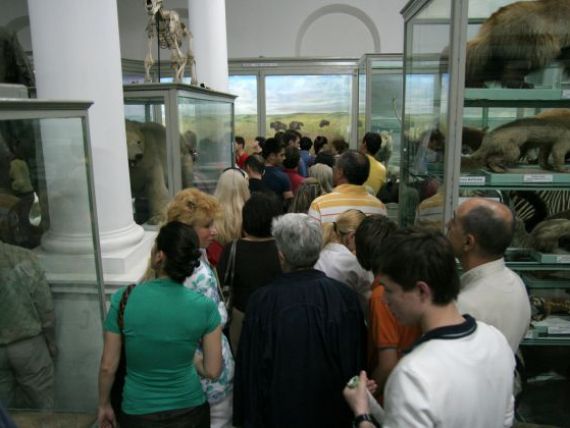Muzeul Antipa se redeschide la sfarsitul lunii iunie