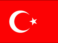 
	Exista si EXCEPTII: Turcia a avut anul trecut o crestere economica de 8,9%
