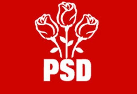 Care sunt firmele care sponsorizeaza PSD