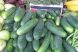 
	Rusia suspenda importul de legume din UE. Spania vrea despagubiri in urma acuzatiilor

