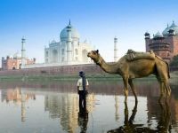 
	Cele mai frumoase 19 forturi si palate ale Indiei
