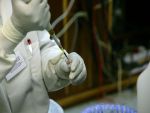 Bacteria E.coli ar putea fi controlata ca un robot