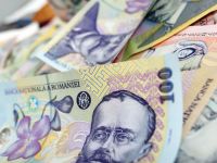 
	Analisti: BNR va mentine rata dobanzii de politica monetara la 6,25%
