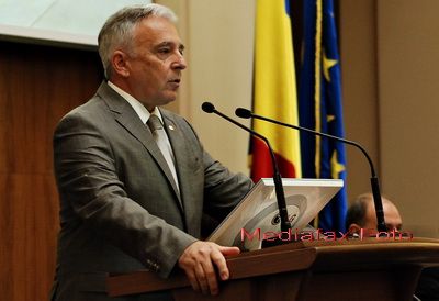 Isarescu: BNR a instituit un comitet de lucru care sa discute structura viitoare a rezervei nationale