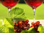 Productie-record de vin in 2011. Cati bani vor cheltui romanii pe vin