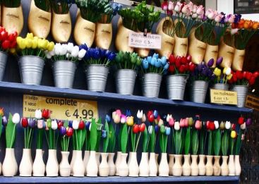 Bacteria Schengen chiar exista. Dupa florile olandeze, s-a trecut la o razie a lactatelor VIDEO