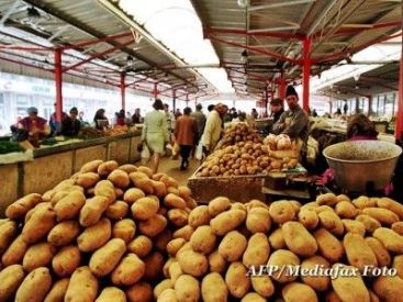 Paradoxul unui an agricol bun. Tone de cartofi putrezesc pe camp, fara cautare VIDEO
