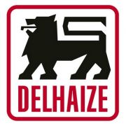 Leul, stapanul buburuzei. Delhaize, proprietarul Mega Image, a preluat cele 3 magazine G market din Bucuresti