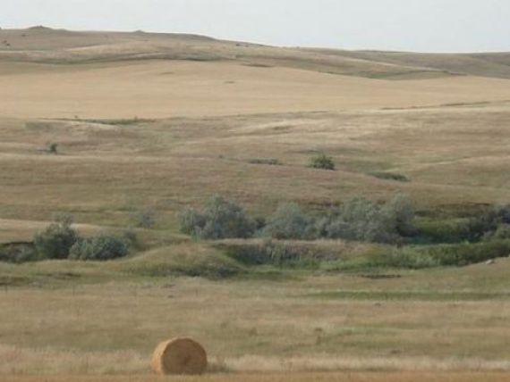 Harta secetei in Romania. Ce regiuni agricole sunt afectate FOTO