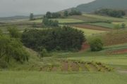 Viitorul agriculturii UE: platile destinate marilor fermieri, plafonate si nu vor mai ajunge la cluburi de golf. Agricultorii romani primesc mai multi bani