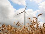 Guvernul acorda ajutor la energia regenerabila. Factura, mai mare cu 2,5% de anul viitor