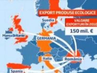 
	Romania exporta anual produse eco in valoare de 60 de milioane de euro
