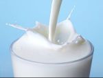 Criza continua sa-si numere victimele. Producatorul de lactate Prodlacta Brasov a intrat in insolventa