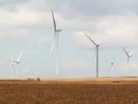 
	Electrica vrea sa construiasca un parc eolian. Cat costa proiectul
