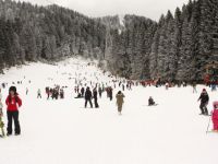 
	Predeal si Poiana Brasov deschid topul celor mai ieftine statiuni de schi din Europa
