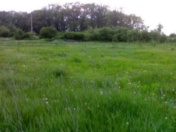 Preturile terenurilor de langa Bucuresti au scazut anul trecut cu pana la 40%
