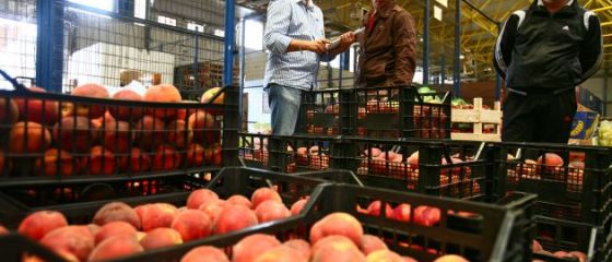Zapada impiedica furnizorii de alimente sa ajunga cu marfa in magazine. Livrarile se fac cu 2 zile intarziere