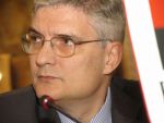 Daianu: Economia este euroizata si functionam ca un consiliu monetar