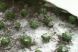 
	Iarna face pagube-n livezi. 2012 se anunta plin de pierderi pentru cultivatorii de legume VIDEO
