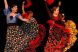 
	Flamenco versus Delta Dunarii. Spania si Romania se bat in oferte turistice pentru vacanta de vara VIDEO
