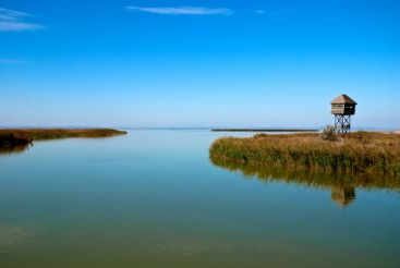 Un caz demn de Dosarele X: o localitate din Delta Dunarii, scoasa la vanzare de Fisc VIDEO