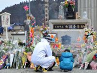 
	Japonia s-a ridicat dintre daramaturi. Cum s-a simtit cutremurul de 9 grade intr-una din marile economii ale lumii GALERIE FOTO
