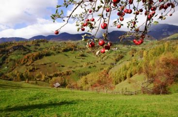 Agentii de turism fac lobby pentru Romania. Turoperatorii incearca sa atraga turisti cu activitatile in aer liber VIDEO