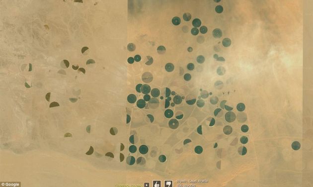 Ferme in mijlocul desertului, Arabia Saudita