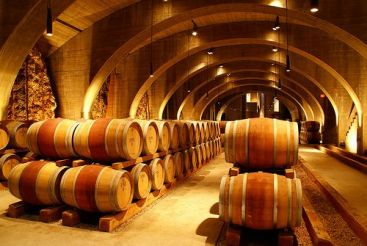 Povestea vinului, cu blazon si imbatranit in lemn de stejar, incanta turistii straini. Cum fac fermierii bani din turismul viticol VIDEO