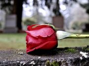 Un investitor spaniol deschide primul cimitir privat din Banat. Va avea forma unui trandafir