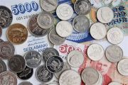 Cum se pot adopta banii altei tari. Statul european care vrea ca moneda nationala dolarul canadian