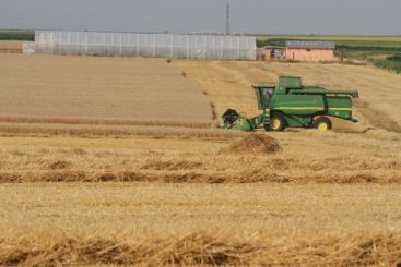 Agricultura renaste din propria cenusa. Inscrierile la facultatile de profil s-au triplat fata de 2011. Viitorii studenti, deja implicati in afaceri