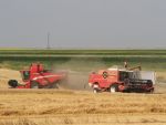BRD acorda si in acest an credite fermierilor care beneficiaza de subventii pe suprafata