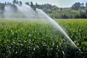 Statul a cheltuit doar 7% din fondurile UE pentru agricultura, majoritatea pe drumuri in camp. In sisteme de irigatii nu s-a investit niciun leu