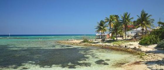 Paradis fiscal pe cale de disparitie. Decizia autoritatilor din Insulele Cayman care i-a infuriat pe expati