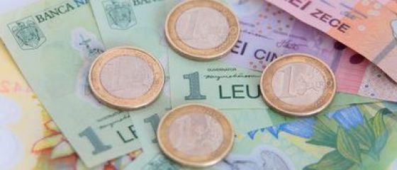 Piramida inversata: in Romania, 3,1 mil. salariati din privat sustin 15 mil. bugetari, copii, pensionari, asistati social