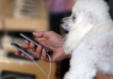 iPhone 5, LIVE review la iLikeIT. Merita 950 euro, pret romanesc? VIDEO
