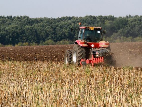 Ministrul Agriculturii: Din 2014 vom limita cumpararea de terenuri de catre straini