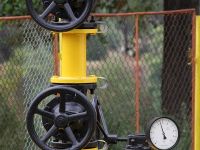 	Romania va exporta gaze din 2013
