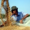 Inventia unor cercetatori romani e considerata solutia viitorului pentru agricultura din Europa