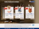 (P) Solutii de marketing on-line pentru antreprenori
