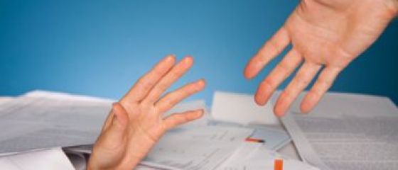 WSJ: Doi investitori, interesati sa preia 30% din Avrig 35 de la lichidatorul averii lui Wasendorf